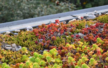 the cost of Osgodby Common green roof installation