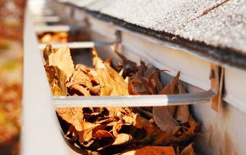 Osgodby Common gutter cleaning companies