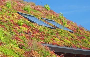 Osgodby Common living roof systems