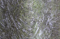 Osgodby Common fibreglass roof work